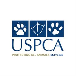 Uspca in Newry (Bessbrook) - Opening Hours