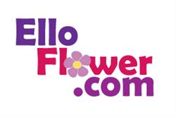 Ello Flower, York opening hours