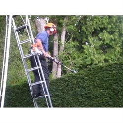 Ian Lawrence Tree and Fencing Services, Kenilworth opening hours