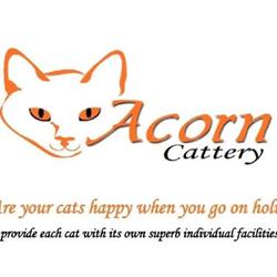 Acorn Cattery in Pulborough (West Chiltington) - Opening Hours