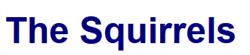 The Squirrels, Amberley opening hours