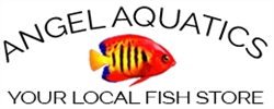 Angel Aquatics in Birmingham (Selly Oak) - Opening Hours