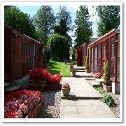 Almora Cattery, Bolsover opening hours