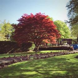 Old Farm Hotel & Restaurant in Birmingham (Bournville) - Opening Hours
