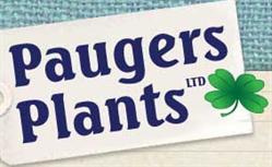 Paugers Plants Ltd, Depden opening hours
