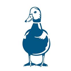 The Dog & Duck, Campsea Ashe opening hours