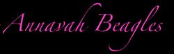 Annavah Beagles, Donington opening hours