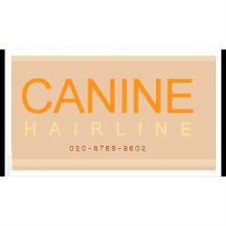 Canine Hairline in London (Streatham) - Opening Hours