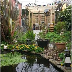 Cleaner Gardens in Looe (Pelynt) - Opening Hours