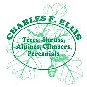 Charles F. Ellis, Stanton opening hours