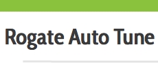 Rogate Auto Tune of Liss, Rake opening hours