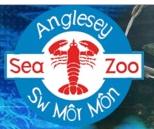 Anglesey Sea Zoo, Brynsiencyn opening hours