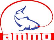 Ammodytes Co.ltd, St Ives opening hours