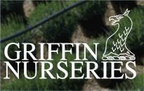 Griffin Nurseries, Milland opening hours