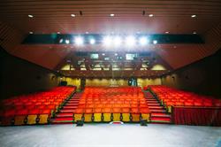 Thameside Theatre in Grays (Orsett) - Opening Hours