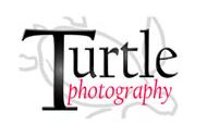 Turtle Photography, Abersoch opening hours