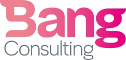 Bang Consulting Ltd, Lychpit opening hours