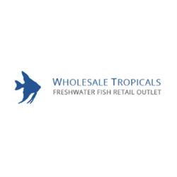 Wholesale Tropicals in London (Bethnal Green) - Opening Hours