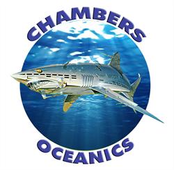 Chambers Oceanic Ltd, Hull opening hours