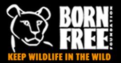 Born Free Foundation, Horsham opening hours