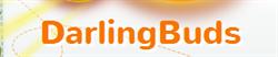 Darling Buds Nursery in Cardiff (Tongwynlais) - Opening Hours