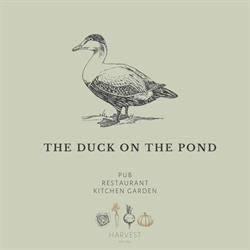 The Duck on the Pond, South Newington opening hours