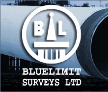 Bluelimit Surveys Ltd, Gorleston opening hours