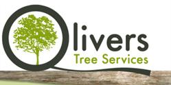 Olivers Tree Services, Witton Gilbert opening hours