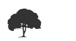 Pellipar Tree Services, Dungiven opening hours
