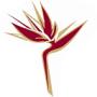 Zara Flora Service Ltd, Wych Cross opening hours