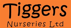 Tiggers Nursery School in London (Putney) - Opening Hours