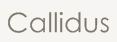 Callidus Consulting Ltd, Alton opening hours