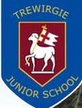 Trewirgie Junior School, Redruth opening hours