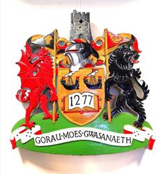 Cyngor Tref Aberystwyth Town Council, opening hours