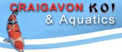 Craigavon Koi & Aquatics, opening hours