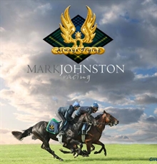 Mark Johnston Racing Ltd in Leyburn (Middleham) - Opening Hours