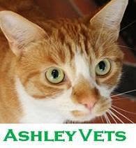 Ashley Veterinary Pet Hospital in Walton-on-Thames (Hersham) - Opening Hours