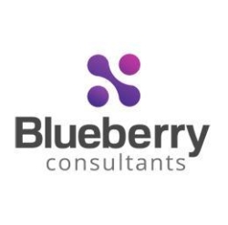 Blueberry Consultants Ltd., Birmingham opening hours