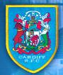 Cardiff Rugby Football Club, opening hours