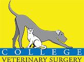 College Veterinary Surgery, Maidstone opening hours