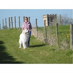 Country Kennels & Cattery, Norton opening hours