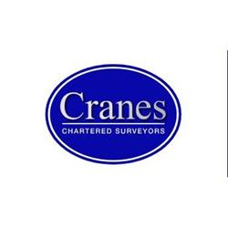 Cranes Chartered Surveyors, Chichester opening hours