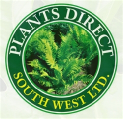 Plants Direct (Southwest), Kenton opening hours