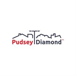 Pudsey Diamond Engineering, Andover opening hours