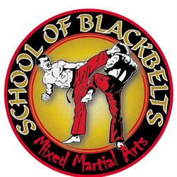 School Of Black Belts Academy, Oldbury opening hours