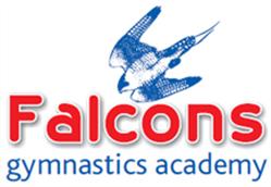 Falcons Gymnastics Academy, Sticklepath opening hours
