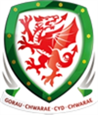 The Football Association Of Wales, Cardiff opening hours