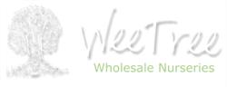 Weetree Wholesale Nurseries, West Buckland opening hours
