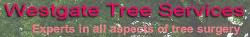 Westgate Tree Services Ltd, Westgate-on-Sea opening hours