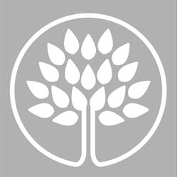 Woodlands Dental Practice, Maidenhead opening hours